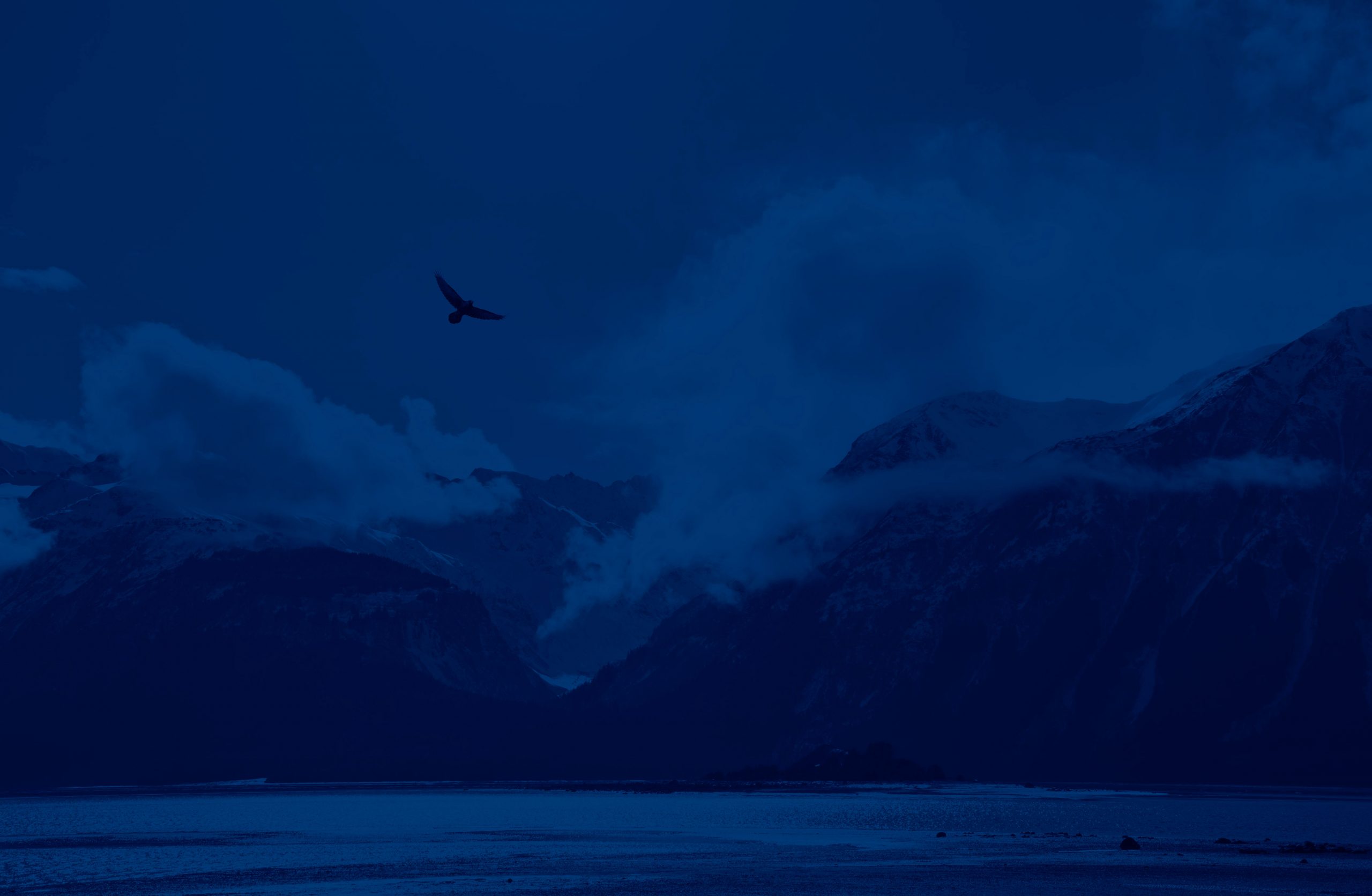 Eagle flying over mountains