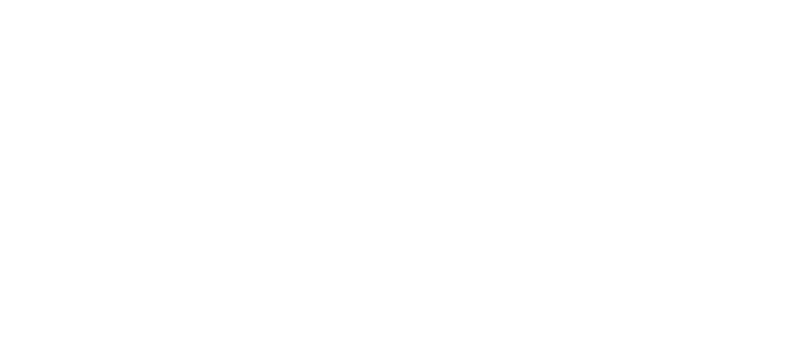Akima Systems Engineering logo